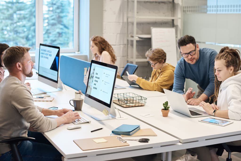 Colleagues working at desktop computers and laptops in an open, naturally lit office